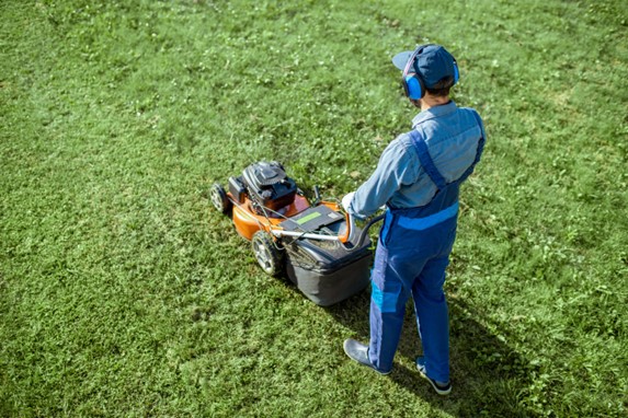 Professional Lawn Mowing Services
